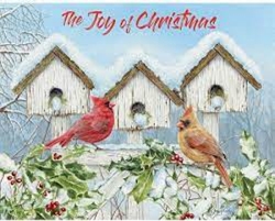 Cardinal Birdhouse Boxed Christmas Cards